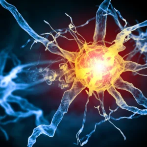 A nerve cell lights up orange in the center with blue branches stretching out